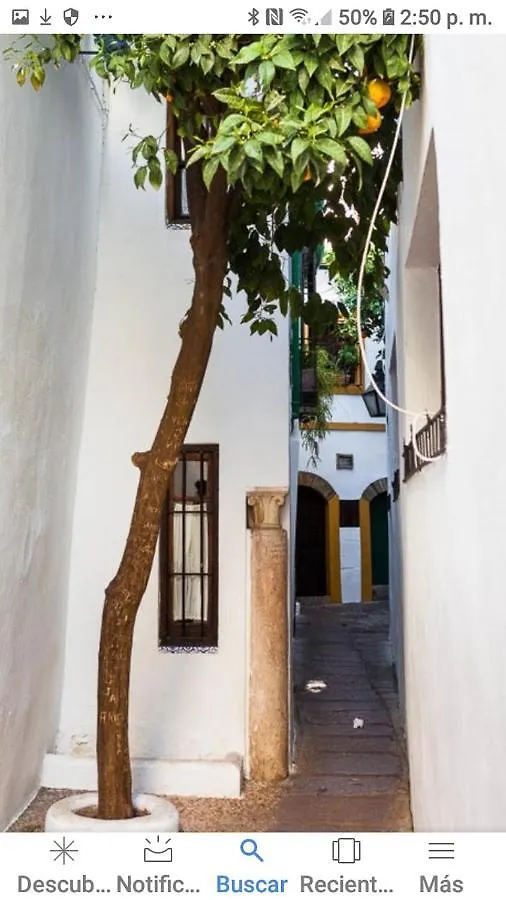 Centro-Mezquita 4 A 8 Huespedes Apartment Cordoba